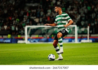 博彩行业的生命周期分析（博彩产业生命周期研判）